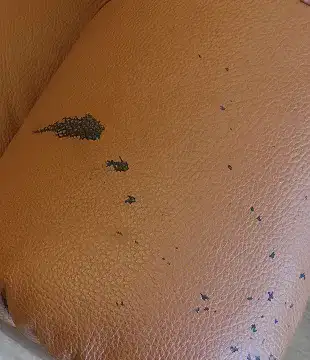 REMOVE STAINS ON LEATHER FURNITURE