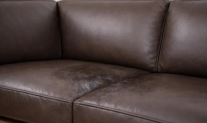Before Deep Cleaning of Leather Sectional After Pet Use in Los Angeles